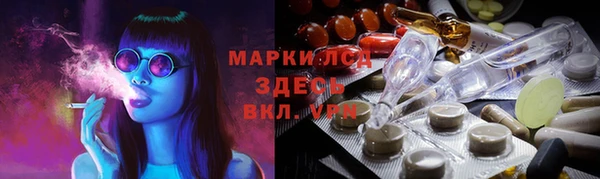 хмурый Пересвет