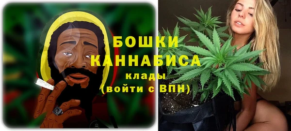 PSILOCYBIN Покров