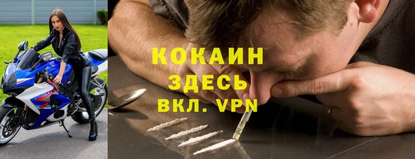 PSILOCYBIN Покров