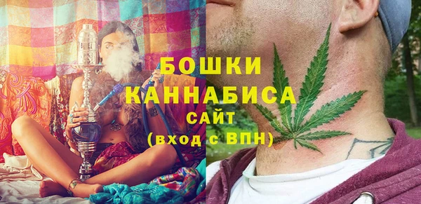 хмурый Пересвет